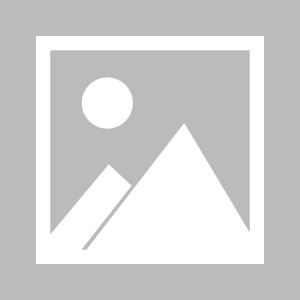 kaiyun-【早报】前锋如酒：苏牙、哲科、老虎们依旧醇香...