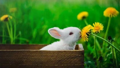 kaiyun.com-马丁内斯告别申花正式转会离开 重返墨西哥联赛